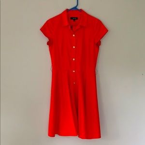 Julio button down shirt dress
